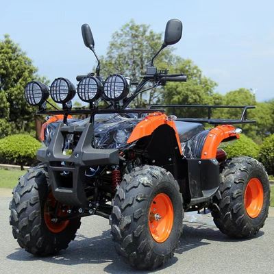 110cc 125cc ATV 저렴한 자동 체인 드라이브