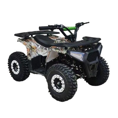 강력한 125cc 가솔린 성인 ATV 쿼드 바이크 12V 전압과 100-200kg의 구동 무게