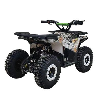 강력한 125cc 가솔린 성인 ATV 쿼드 바이크 12V 전압과 100-200kg의 구동 무게