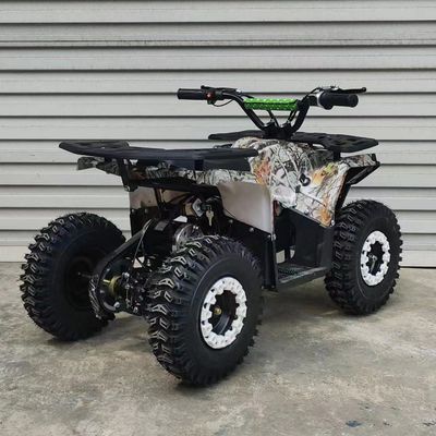 125cc ATV 4 휠어 쿼드 오토바이크 8인치 타이어와 전면 디스크 후면 디스크 브레이크 시스템