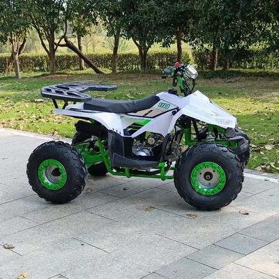 50Cc 70Cc 90Cc 125cc 배급형 어린이 스쿼드 쿼드 ATV