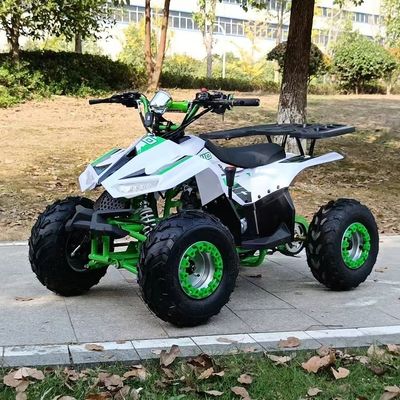 50Cc 70Cc 90Cc 125cc 배급형 어린이 스쿼드 쿼드 ATV