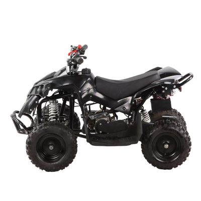 1000W 가스 ATV 자동 4륜자동 모토 쿼드 자전거 오프로드 3.0-4 타이어 사이즈 제공