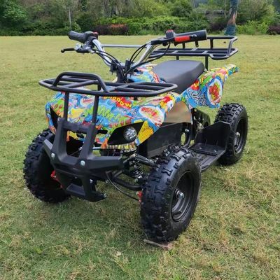 셰프트 드라이브 전송 시스템 500w 어린이 경주 ATV 쿼드 어린이용 2WD 전기 전력