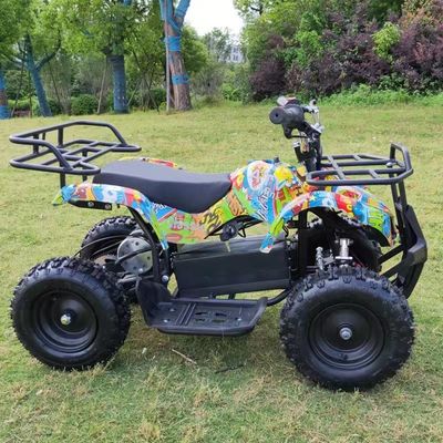 셰프트 드라이브 전송 시스템 500w 어린이 경주 ATV 쿼드 어린이용 2WD 전기 전력