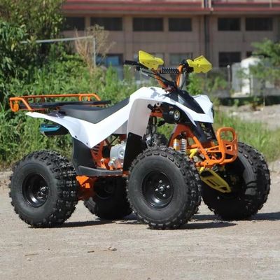 CE 인증 110cc 125cc 150cc 4타크 가스 구동 키즈 ATV