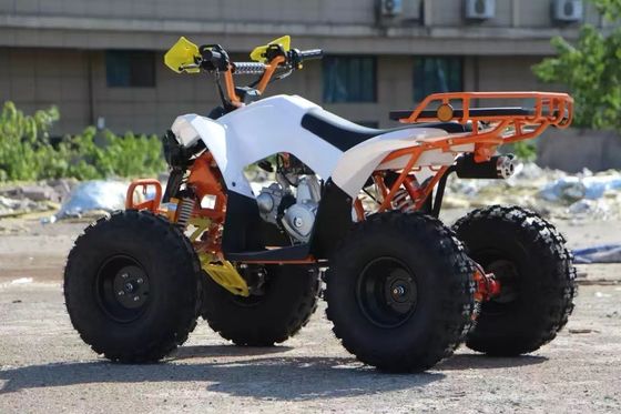 CE 인증 110cc 125cc 150cc 4타크 가스 구동 키즈 ATV