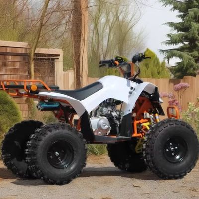 110cc-125cc 성인용 자동 ATV CE 승인 8인치 타이어 가솔린 쿼드바이크 큰 바퀴