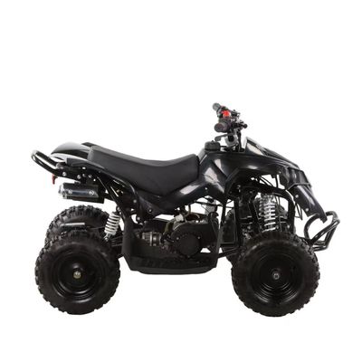 49cc 어린이 ATV 4 바퀴 어린이 4x4 사이드 바이 사이드 미니 ATV 체인 변속기와 함께