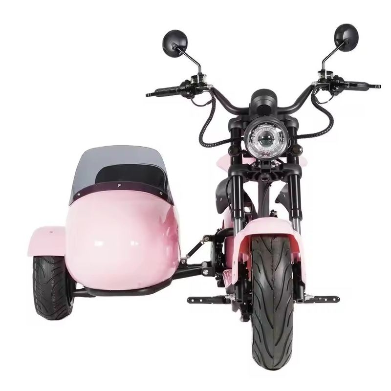 전기 사이드카 모터사이클 애완동물 수송기 1000W-3000W 60-80km 범위 41-50km/h 최대 속도