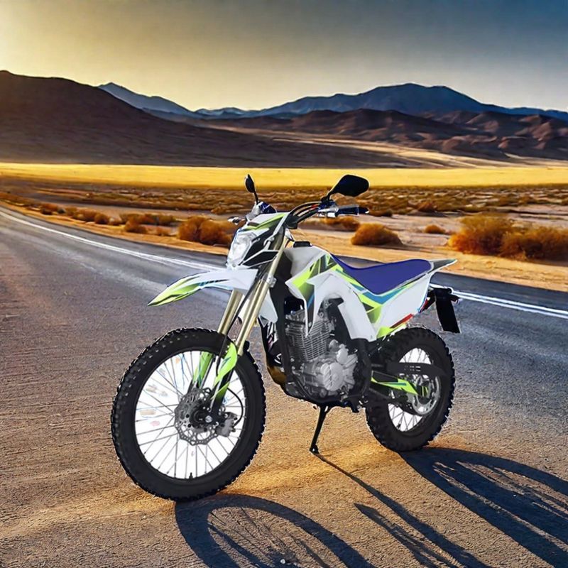 250cc 엔더러 크로스 디르트 바이크 오톤 모터 전기 시작과 최대 속도 100km/h