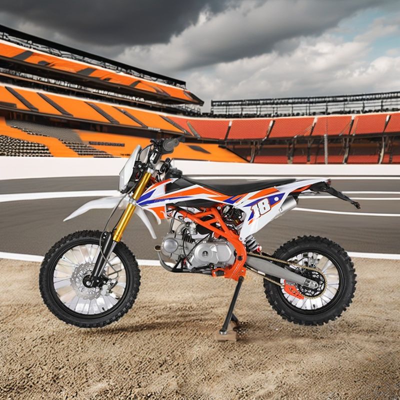 성인 가스 190cc 125cc 더트 자전거 경주 오프로드 오토바이 모토크로스 160cc 250cc