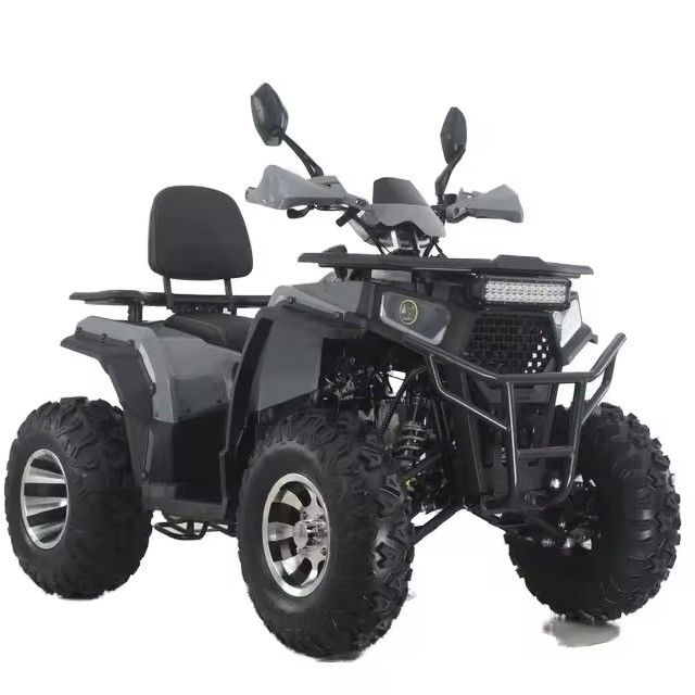 Aotong GY6 모터 200CC/250CC 성인용 자동 쿼드 자전거 10인치/12인치 농장 ATV