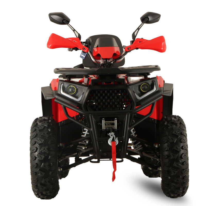 고전력 GY6 200CC/250CC 성인용 자동 쿼드 자전거 10인치 농장 ATV 오프로드