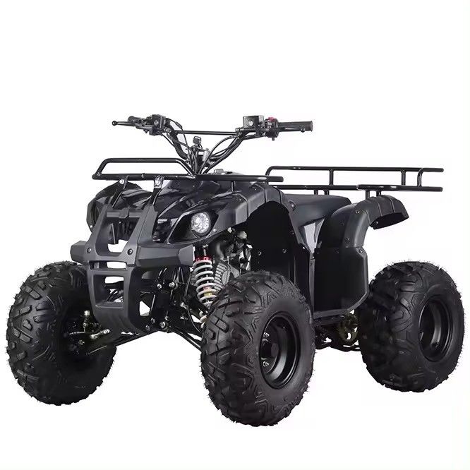 125cc 110cc Kids Atv 쿼드 미니 쿼드 모터바이크 어린이용 역전형 예산 친화적
