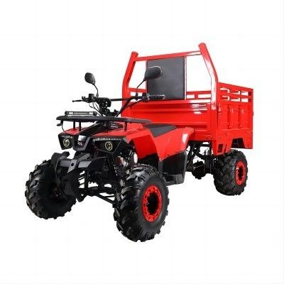 농장 ATV Aotong 125cc/150cc 트레일러와 화물 상자 2WD 4WD 오프로드 ATV 전압 12V