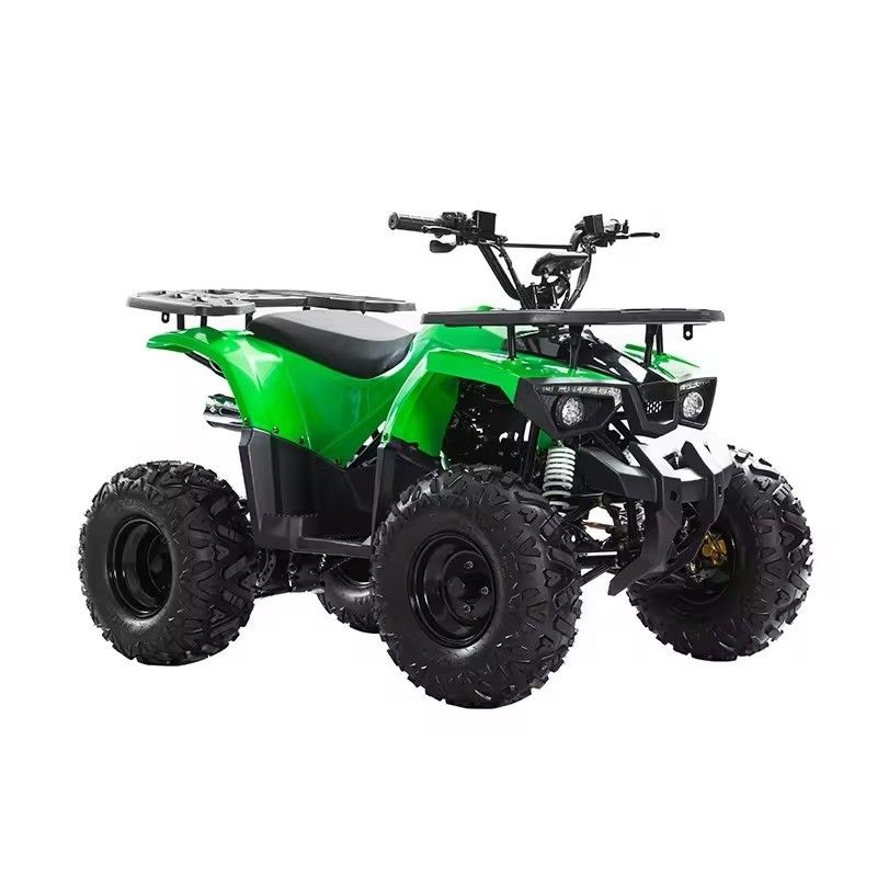 110cc 125cc 체인 드라이브 ATV CE 인증 최고 속도 50-75Km/h 및 재료