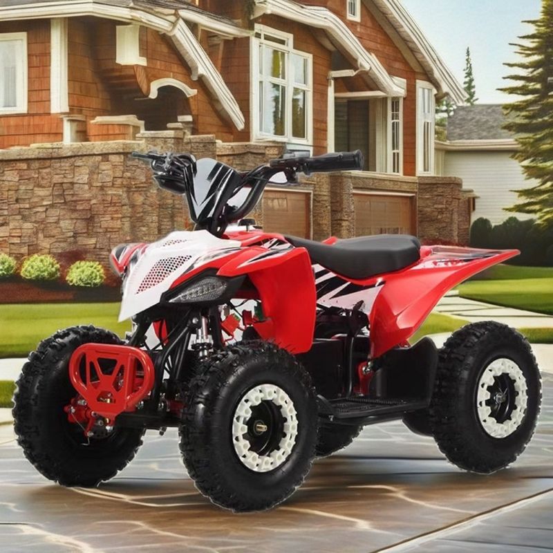 36V 키즈 쿼드 전기 1000w Atv 125cc 6인치 자동 쿼드 모터사이클 어린이용 2WD