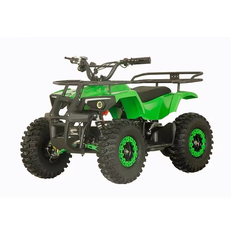 스트리트 법률 1200W ATV 4 바퀴 쿼드 자전거 2WD와 30-50km 운전 마일리지