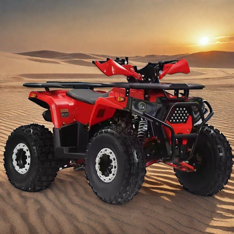 110cc 125cc 쿼드바이크 4륜자동 어드벤처 ATV 4x2 성인용 운전