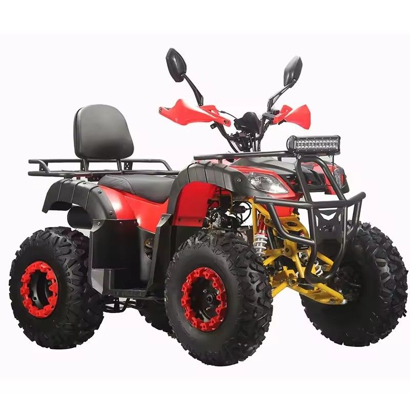체인 변속기 150cc 200cc 250cc 2x4 ATV 성인용 트와드 CE 및 효율성