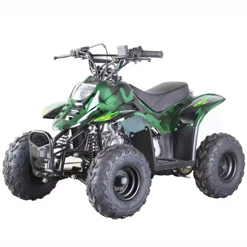 70CC/110CC 자동 쿼드 재미 장난감 ATV 1 실린더와 저렴한 십대용 버거