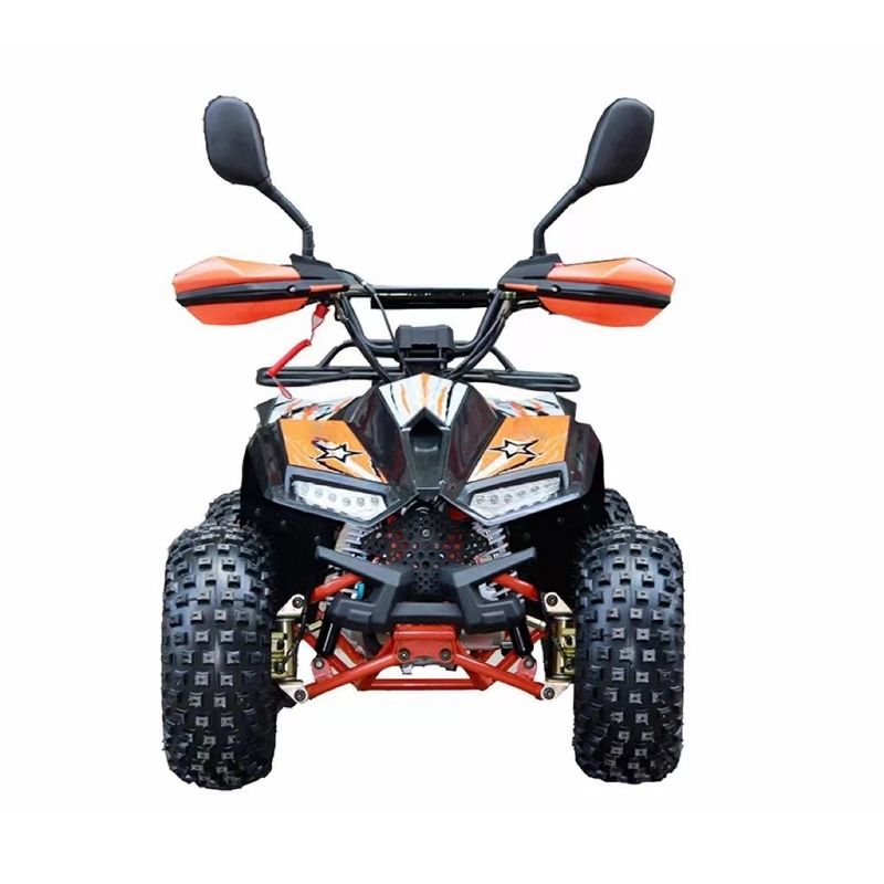 110CC 125CC 성인용 쿼드 ATV CE 승인 및 최소 크리저 100-150mm