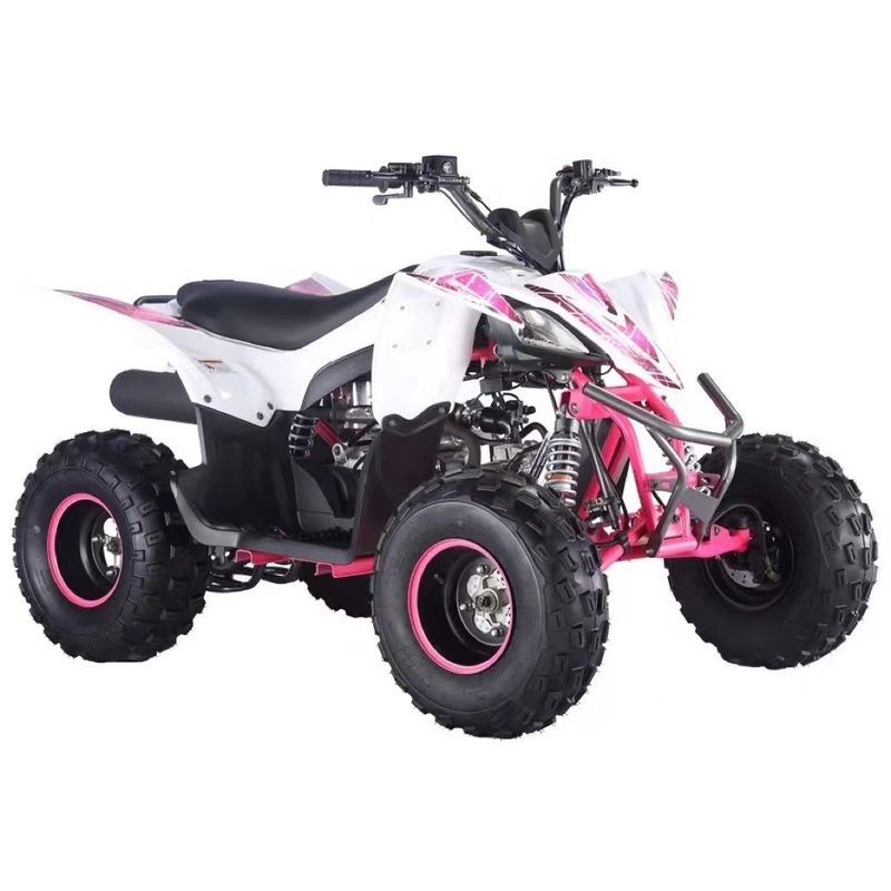 125cc Aotong 모터 ATV 농장 쿼드 자전거 자동 변속기 사용자 정의 색상 지원
