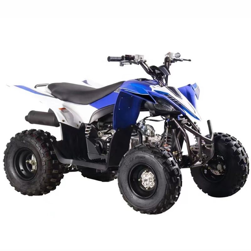 전면 디스크 후면 디스크 브레이크 시스템 125cc/110cc 어린이 ATV 버거의 안전을 보장합니다