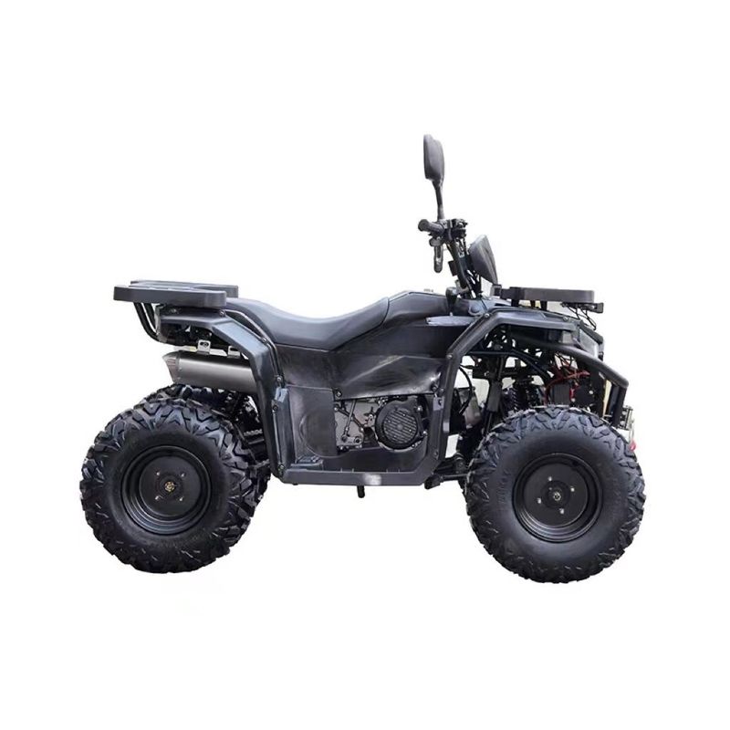 150cc 엔진 맞춤식 철강 튜브 자동 ATV Utv 부품 2인용 액세서리