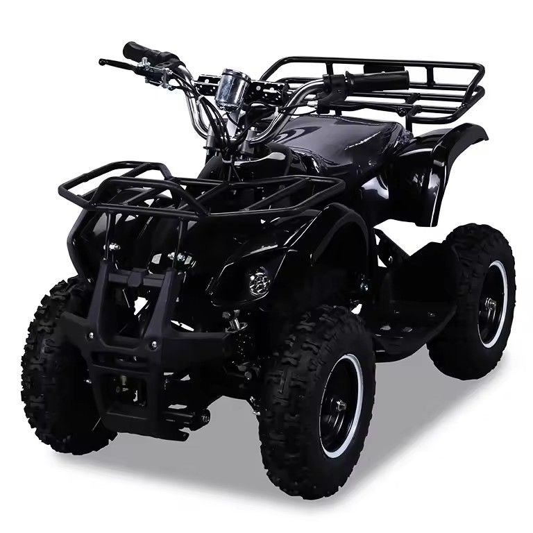 600-1000mm 휠베이스 36V 800W 미니 전기 ATV CE 및 체인 드라이브 변속기와 함께