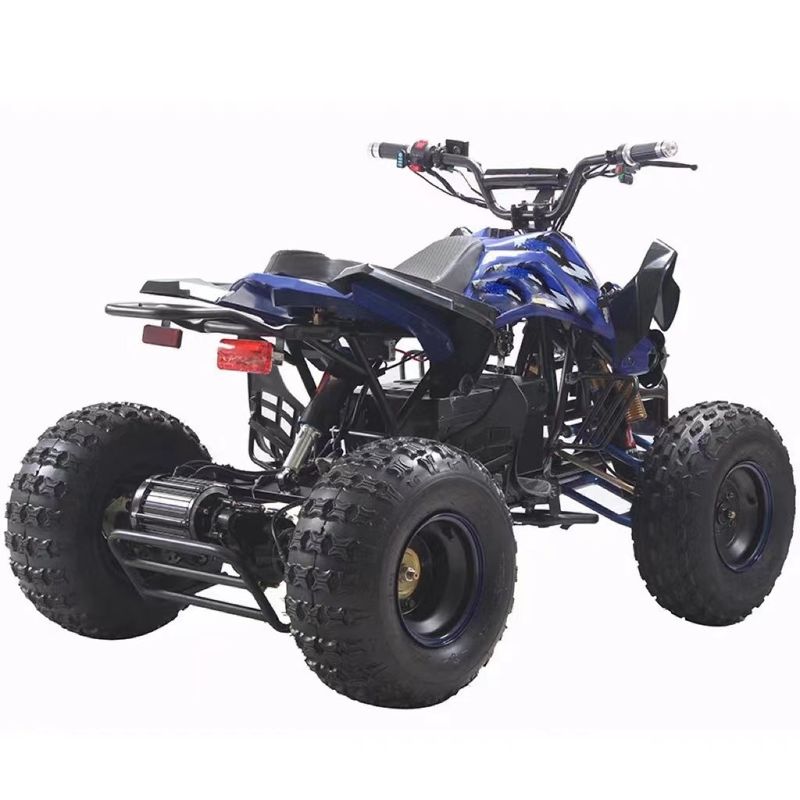 48v 1000w 샤프트 드라이브 E-ATV 브러시리스 모터와 최소 150-200mm의 클리어런스