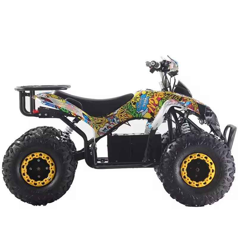 1000W/1500W ATV 쿼드 Ft 디스크 Rr 디스크 브레이크