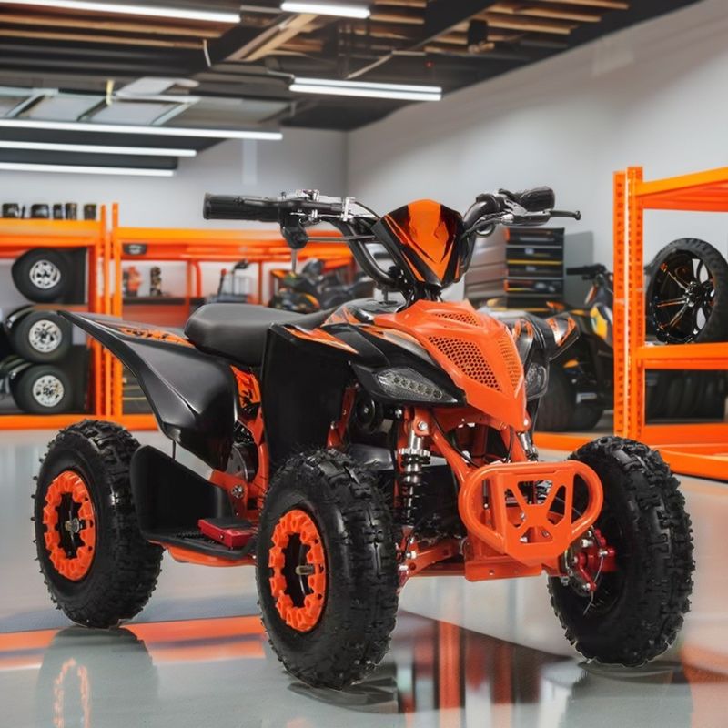2WD 아오툰 모터 800w1000W 36V 오프로드 쿼드 ATV 쿼드 자전거 체인 변속기와 함께