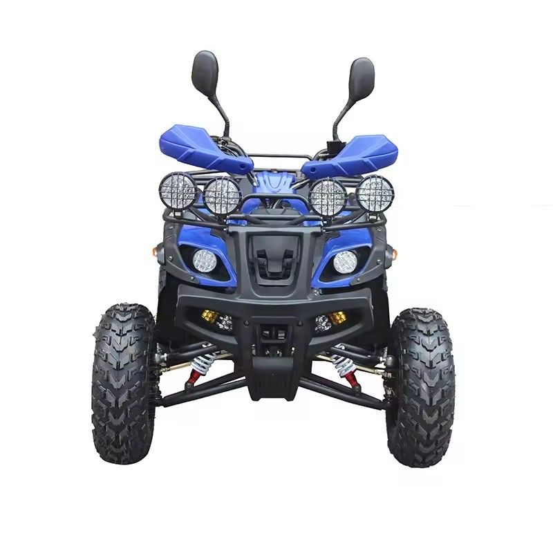 최대 토크 Nm ≤20Nm 4륜 오프로드 ATV 모터 250cc 휠베이스 600-1000mm