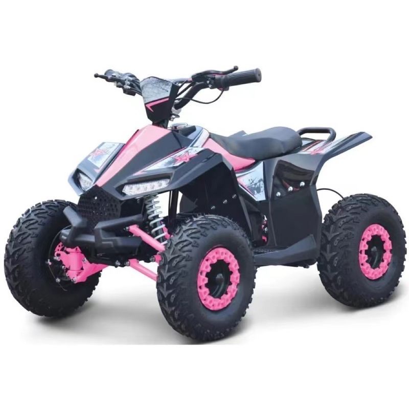 최대 토크 40-60Nm 1000W 전기 사이드 바이 사이드 ATV