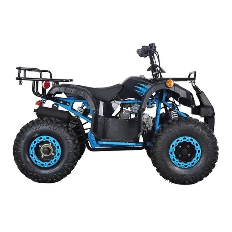 CE 인증 110cc 125cc 큰 힘 농장 쿼드 자전거