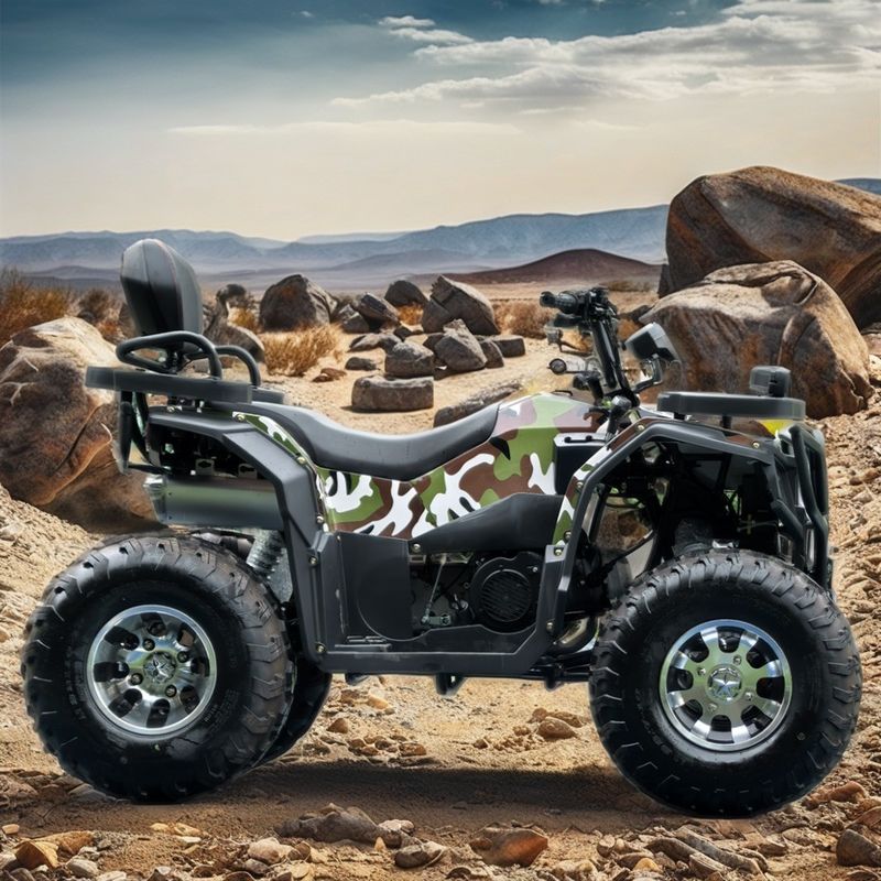 250cc 4륜 바지 카시 체인 드라이브 더블 4륜 마운틴 쿠아트리모토 ATV 4x4
