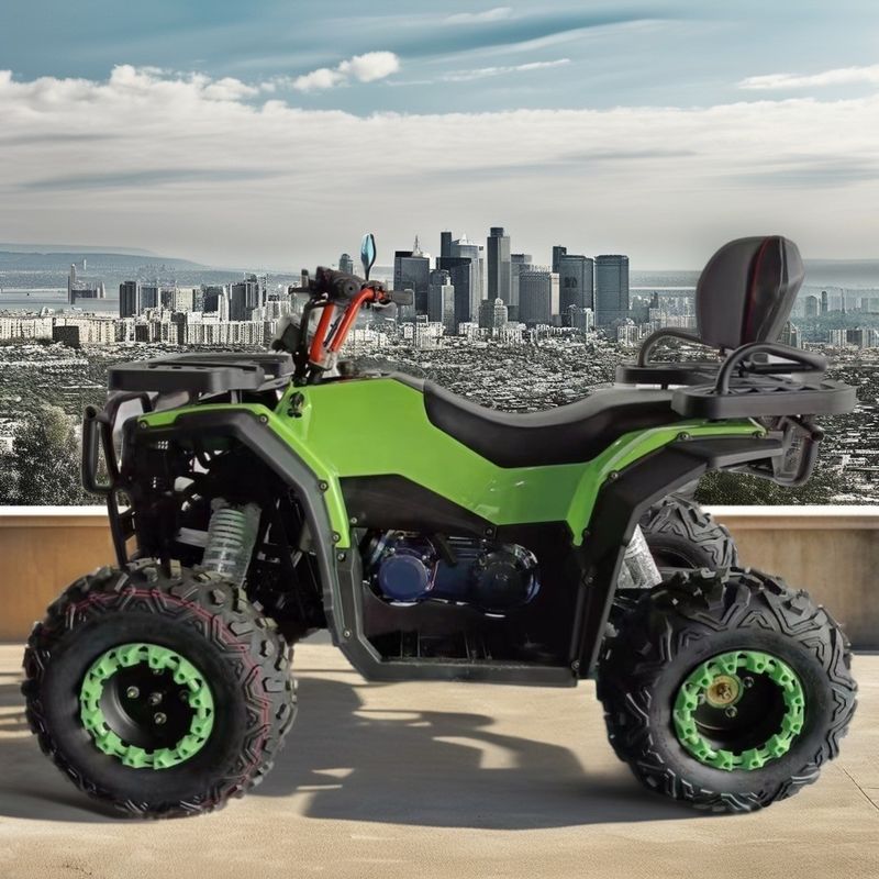 250cc 배량 4타크 공기 냉각 가솔린 ATV 오토바이 2WD 운전 재미