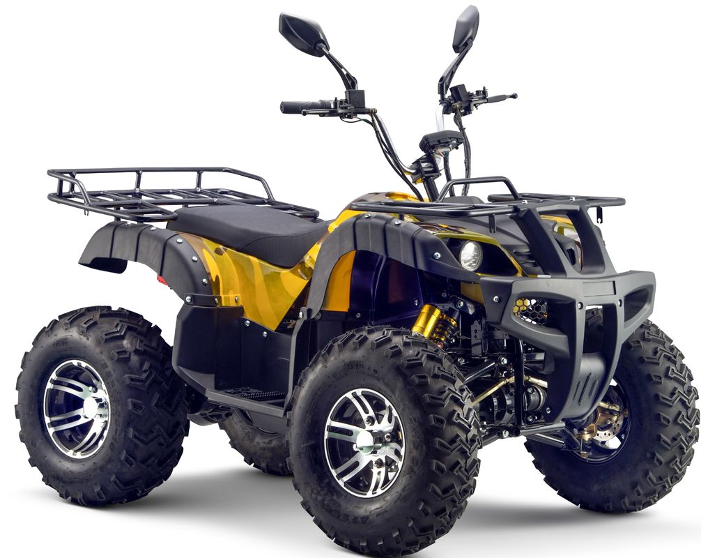 전기 ATV 4x4 성인용 최대 토크 Nm ≤20Nm 빨간색/나색/검은색/녹색/노란색 3000W