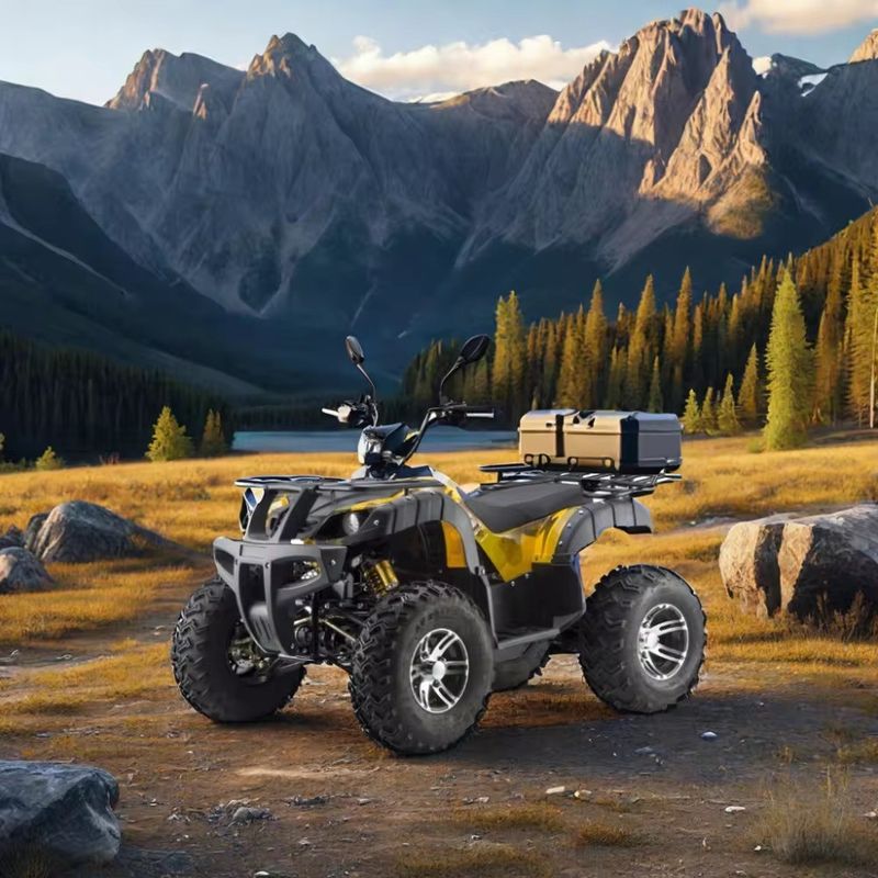 DISC 브레이크 전기 3000w 성인용 덩굴 버그 1500w*2 UTV ATV 4x4 오프로드 차량
