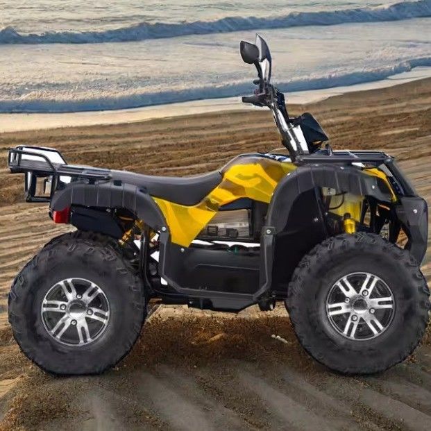최대 속도 50~75km/h 4WD와 60v 자동 변속기와 3000W 전기 ATV