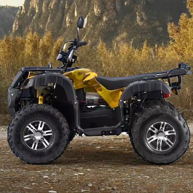 성인용 3000W 전기 ATV 쿼드 가스 2WD 4WD 최대 속도 50-75Km/h