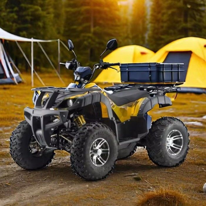 3000W 2wd/4wd ATV UTV 도로 4륜 오프로드 오토바이