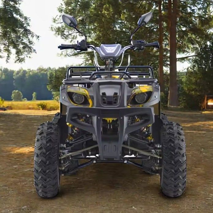 강력한 3000W 1500W 4WD 4x4 모토 ATV UTV 1000cc 쿼드 ATV 휠베이스 1800-2200mm