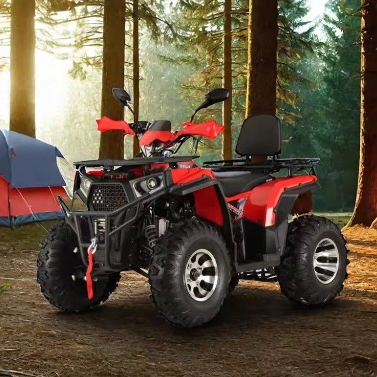 200cc 2X4 4X4 도로 합법 ATV 성인용 쿼드 자전거 200cc 실린더 1번