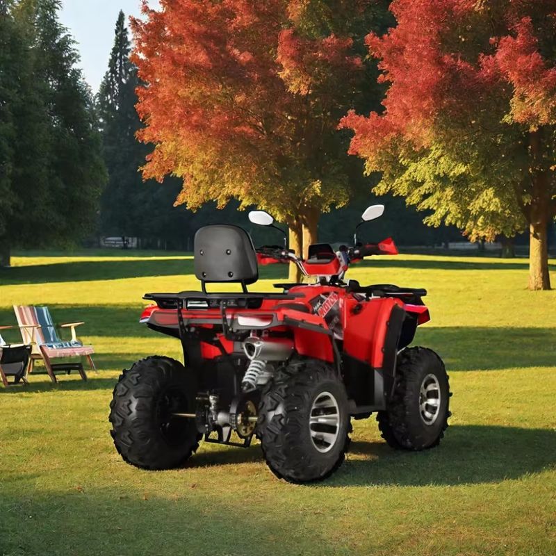 연료 가스/디젤 농장 ATV 200cc/250cc 4륜 ATV 최대 토크 Nm ≤20Nm