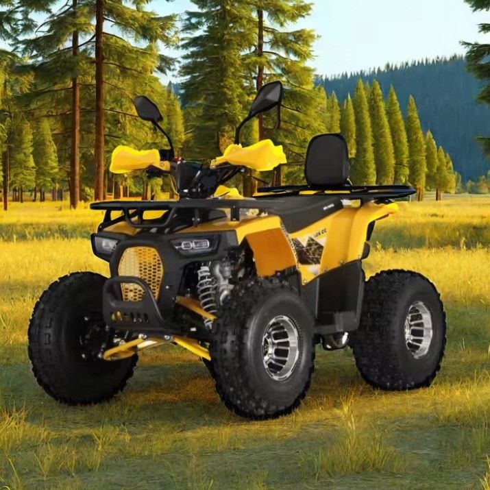 성인용 125cc Farm Quads ATV 강력 가스 / 디젤 엔진 및 체인 드라이브