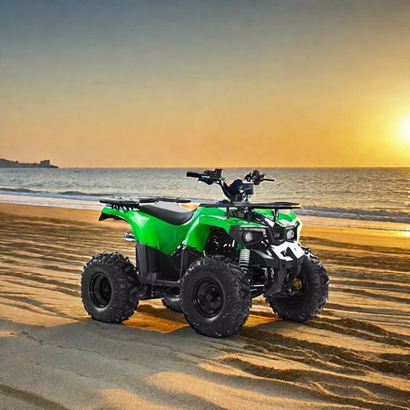 자동 변속기 Aotong 모터 110cc 125cc 150cc 성인용 쿠아트리모토 ATV