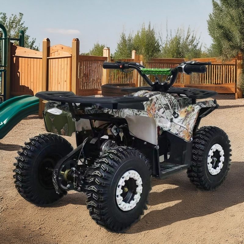 4타크 엔진 가스 가동 키즈 쿼드 자전거 ATV 110cc 125cc 150cc CE와 함께 4륜구동